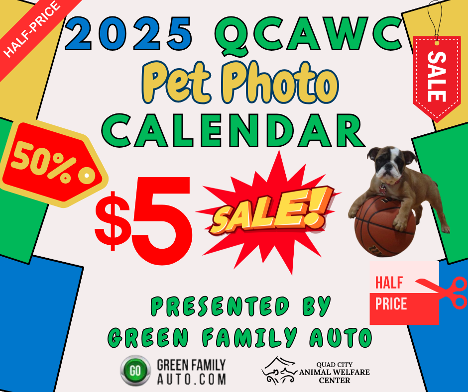 Pet photo calendar contest website 3